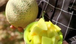 大美娱乐吃瓜,揭秘娱乐圈最新吃瓜事件