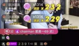 惠州王小姐爆料视频最新,揭秘惊人真相！